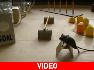 Ποντικομαραθώνιος